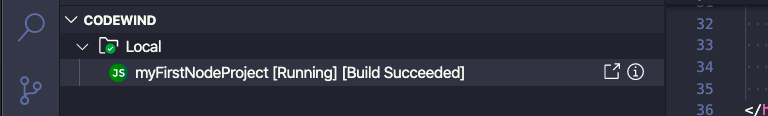 image of the running project
